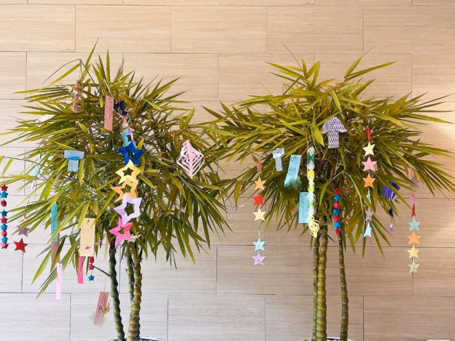 🎋 The enchanting Tanabata season has returned! At Roygent Parks Hanoi, we’ve adorned our lobby with bamboo leaves. 🎋 😌 During your visit, we invite you to write your heartfelt wishes and hang them on the bamboo leaves. May all your beautiful dreams come true! 😌 _____________ ☎ +84 24-3232-3760 📧 roygent@dtdevelopment.vn 📍 289 Khuat Duy Tien, Trung Hoa, Cau Giay, Hanoi, Vietnam