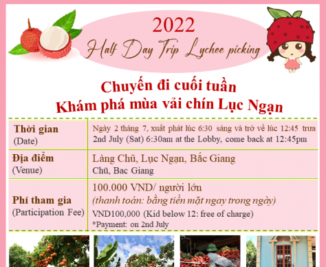 Lychee Picking Half – day Trip! Make the Most of Your Weekend Getaway
